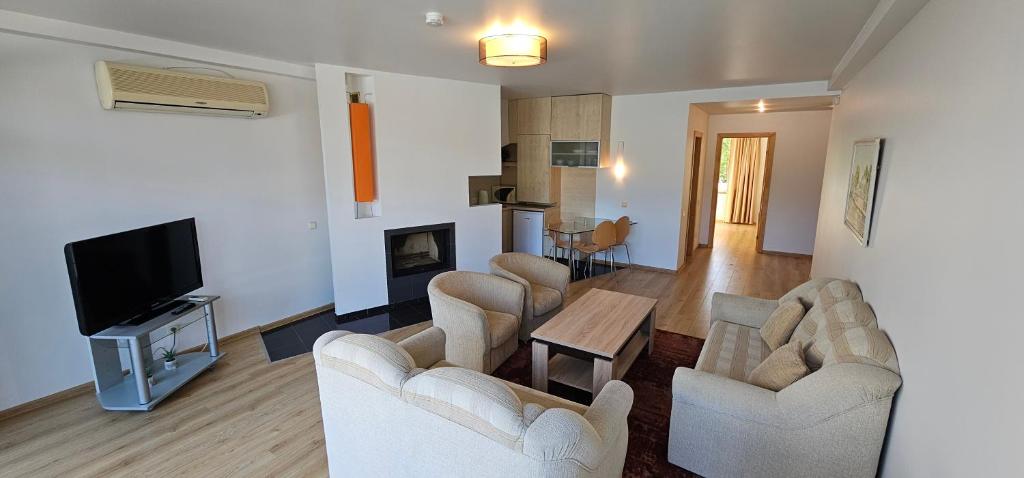 Liukso apartamentų svetainė su židiniu