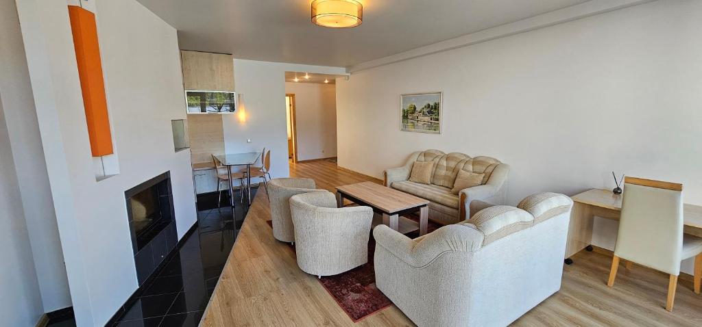Liukso apartamentų svetainė su židiniu Liukso apartamentų svetainė su židiniu