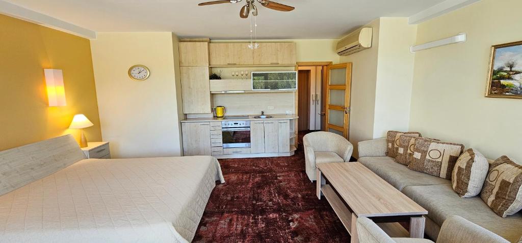Vieno kambario apartamentai-studija Vila Viola